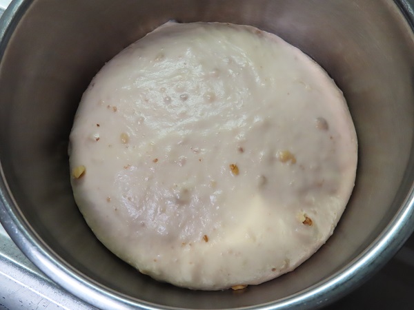 甘酒酵母液　くるみパン　一次発酵