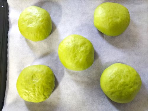 抹茶生地のこしあんパン